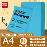 天章 (TANGO)A4封面纸 双面凹凸皮纹纸 压纹纸 云彩纸 封皮纸 彩色卡纸标书封面 硬厚手工卡纸湖蓝色210g10