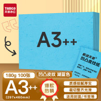 天章 (TANGO)A3++凹凸皮纹纸/压纹纸/封面纸/云彩纸 标书封面纸包书纸装订用纸大张厚卡纸