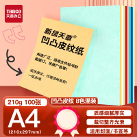 天章 (TANGO)A4封面纸 双面凹凸皮纹纸 压纹纸 云彩纸 封皮纸 彩色卡纸标书封面硬厚手工卡纸 8色装 210g1