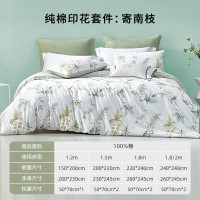 梦洁家纺纯棉四件套全棉花卉印花床单被套透气套件 [纯棉印花]寄南枝 1.8米 床单款 (被套220 240cm)