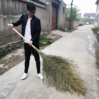 大千 环卫大扫把竹马路扫竹子户外加大加宽扫院子扫帚塑料丝竹扫