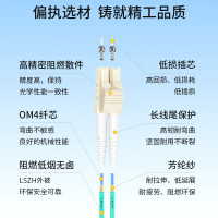 普天飞燕 光纤万兆多模 LC-LC 10米 (单位:条)