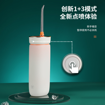 西屋(Westinghouse)便携式电动冲牙器C101 (单位:个)