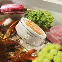 荣事达 RSQ-25SY1钛食材净化机 果蔬清洗机