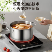 九阳 C22S-N9L 大火力爆炒多功能 电磁炉