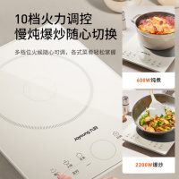 九阳 C22S-N419 高温面板大尺寸双层大线盘 电磁炉