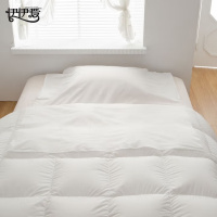 伊伊爱 TJ0AN02302009 一次性单人睡袋110*240cm(个)