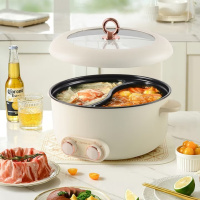 联创DF-BL8030M鸳鸯电火锅