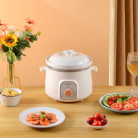 联创DF-BL9052M 电炖锅