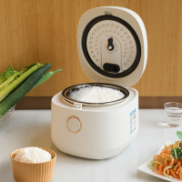 联创DF-BL6052M 低糖智能电饭煲