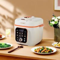 联创DF-BL6099M 电饭煲压力锅二合一多功能压力锅