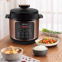 联创DF-BL6036MB 电压力锅