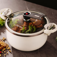 联创DF-CP901M 微压锅