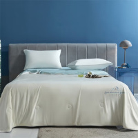 伊伊爱BZ0TDC2201040科技凉感大豆夏凉被200*230cm(单位:条)