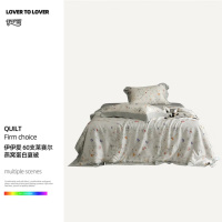 伊伊爱BZ0SMR2401194/60支莱赛尔燕窝蛋白夏被200*230cm(单位:条)