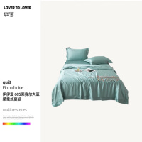 伊伊爱BZ0TDC2401176/60S莱赛尔大豆桑蚕丝夏被200*230cm/3.5斤(单位:条)