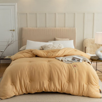 伊伊爱BZ0LFS2100939纯色绣花柔护养参被秋冬被芯200*230cm(单位:条)
