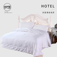 伊伊爱 BZ-9CSB050-02 蚕丝春秋被毛重3斤白色200*230cm(单位:条)