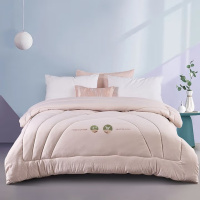 伊伊爱 BZ0XD02201135L 植豆冬被约4.2斤200*230cm(单位:条)