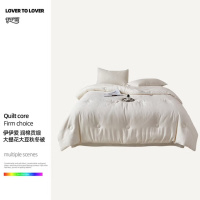 伊伊爱 BZ0TDC2301118 润棉贡缎大提花大豆秋冬被150*200cm/4.5斤