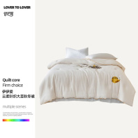 伊伊爱 BZ0TDC2301127 云柔针织大豆秋冬被200*230cm/5斤