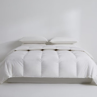 伊伊爱 BZ0JD02201110 纯色90鸭绒被芯200*230cm总重1750g(单位:条)