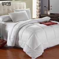 伊伊爱 BZ0JD02201097 白色酒店棉防羽布被芯四季通用220*240cm(单位:条)