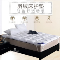 伊伊爱D02000172五星宾馆酒店防羽布床护垫30白鸭绒褥子120*200cm(单位:套)