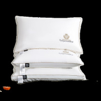 伊伊爱ZX0HJC2100059大豆助眠枕芯单个装48*74cm(单位:个)