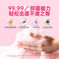 滴露 洗手液茉莉与绿茶迪士尼 500g