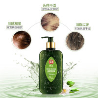 霸王防脱洗发液(控油去屑型)400ml 10101021455