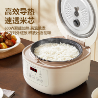 艾美特(AIRMATE) 电饭煲 CFB3001D