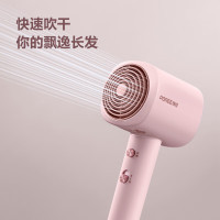 博锐 电吹风 PH1630