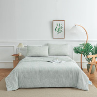 皮尔卡丹诺言(三件套)(夏被)200*230cm PCAZ-2414