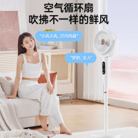 先锋DXH-S22R电风扇(智能语音遥控循环扇)随机颜色