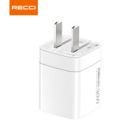 锐思30W氮化镓快速充电器套装 RC77CC随机颜色