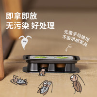 绿鼻子杀蟑双饵盒6个*1