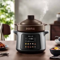 九阳-电炖锅DG50Z-GD992