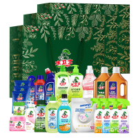 水卫仕全屋家清清洁22件大套装AS10(厨房重油污净480g+浴室清洁剂500g+消毒液1L+地板清洁剂500ml)