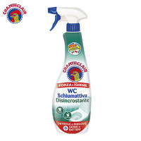 大公鸡管家马桶清洁剂(漂白) DGJGJ-MTQJJ-CG-625ML 2瓶装