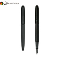 毕加索 916城市 钢笔随机颜色