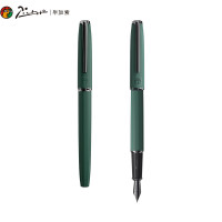 毕加索 916自然 钢笔随机颜色
