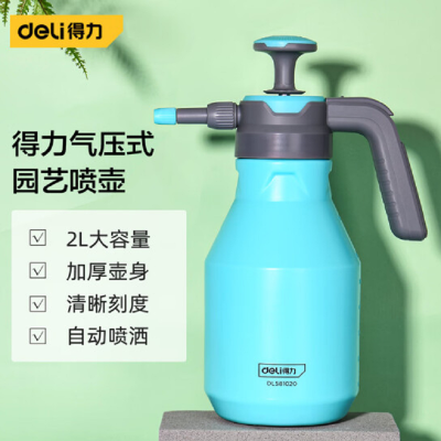 得力(deli)浇花喷壶喷雾器 洗车喷水壶酒精消毒气压式2L DL581020