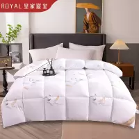 皇家寝室 维利亚白鹅丝绒被HJQS-BZ3989