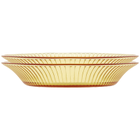 SNAPWARE晶尊系列餐具2件套P SNAMD2SP/KZYL琥珀色精致餐具套组18.8cm深盘*2