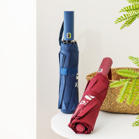 锐步青璞 自动伞 RB248001M