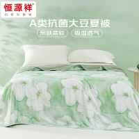 恒源祥HYX648BZ 御锦-A类抗菌大豆夏被
