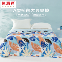 恒源祥HYX650BZ 墨隐-A类抗菌大豆夏被