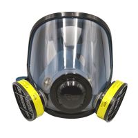 耐呗斯 防毒面具8800系列 呼吸防护全面罩 8800TNE四件套