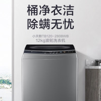 波轮洗衣机 12公斤超大容量全自动家用洗衣机免清洗 深层除螨 水电双宽 TB120-2808WB一个